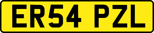 ER54PZL