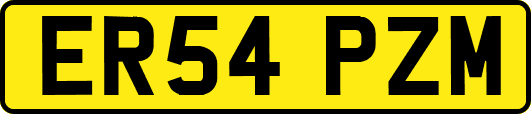 ER54PZM