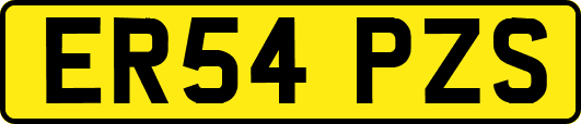 ER54PZS