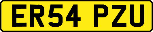 ER54PZU