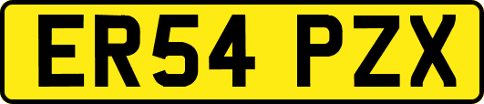 ER54PZX