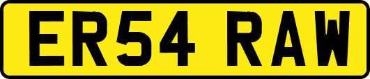 ER54RAW