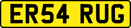 ER54RUG