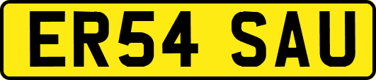 ER54SAU