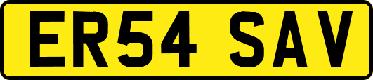 ER54SAV