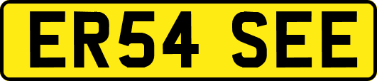 ER54SEE