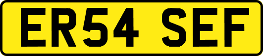 ER54SEF