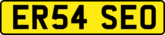 ER54SEO