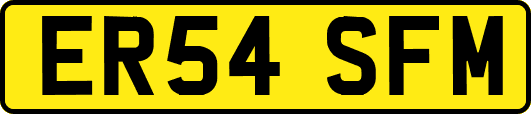 ER54SFM