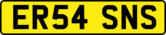 ER54SNS