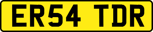 ER54TDR