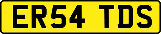 ER54TDS