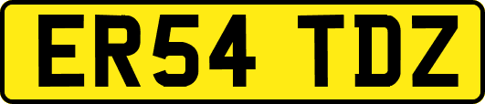 ER54TDZ