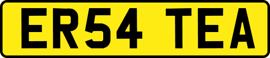 ER54TEA