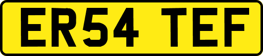 ER54TEF