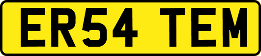 ER54TEM