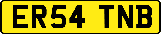 ER54TNB