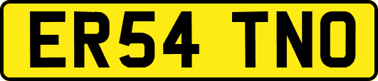 ER54TNO