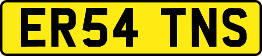 ER54TNS