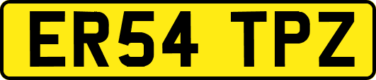 ER54TPZ