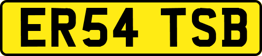 ER54TSB