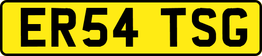ER54TSG