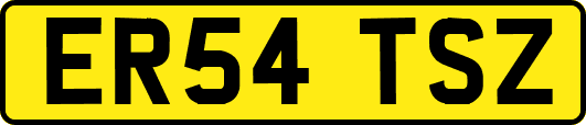 ER54TSZ