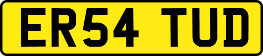 ER54TUD