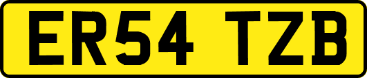 ER54TZB