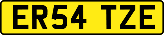 ER54TZE