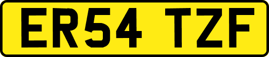 ER54TZF