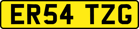 ER54TZG