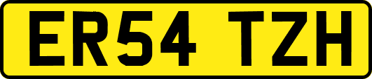 ER54TZH