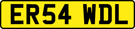 ER54WDL