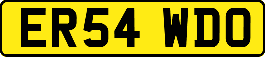ER54WDO
