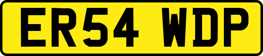 ER54WDP