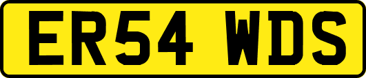 ER54WDS