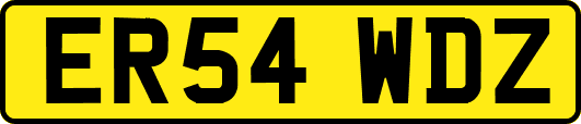ER54WDZ