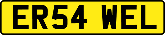 ER54WEL