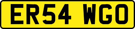 ER54WGO