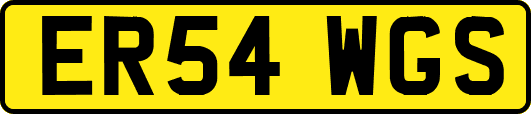 ER54WGS