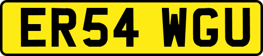 ER54WGU