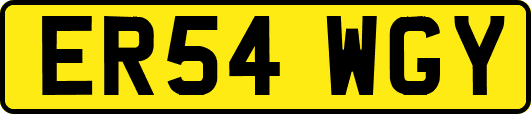 ER54WGY