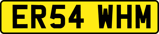 ER54WHM