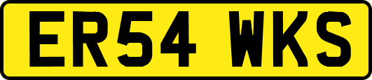 ER54WKS