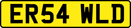 ER54WLD