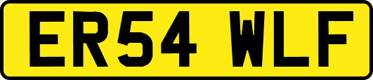 ER54WLF