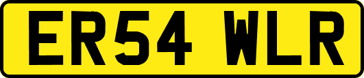 ER54WLR