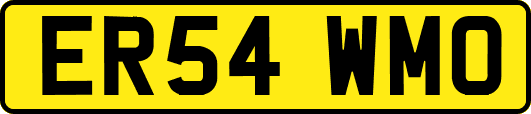 ER54WMO