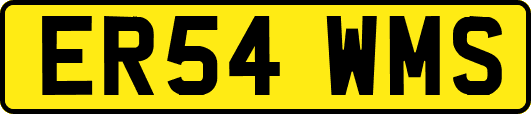 ER54WMS